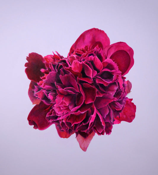 Pink Bloom